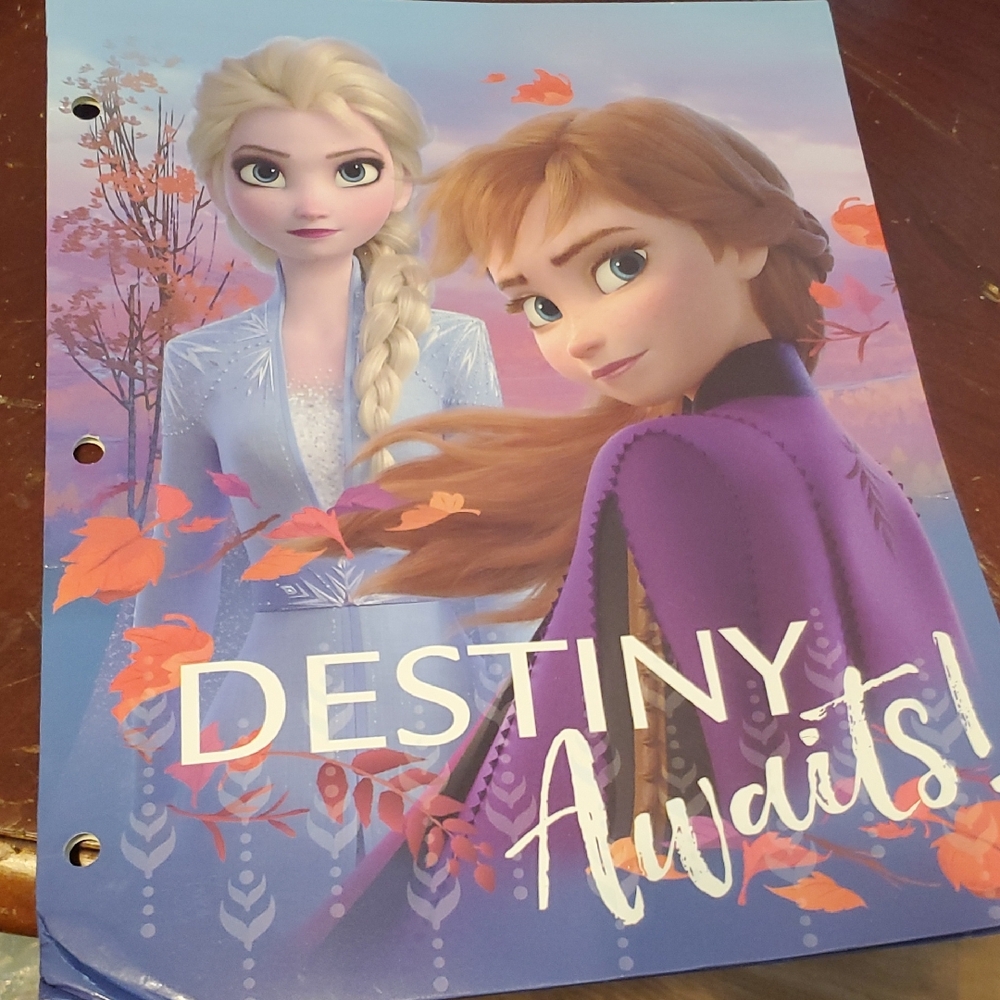 Frozen 'Destiny Awaits' Notebook